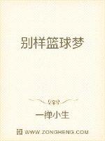 别样篮球梦